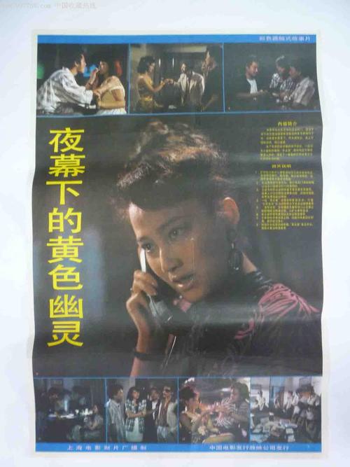 办理假护照